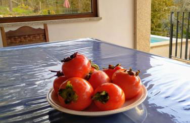 Casa do Reguengo, Freigil - Foto 30