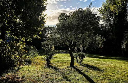 Château du Port Hublé - Foto 20