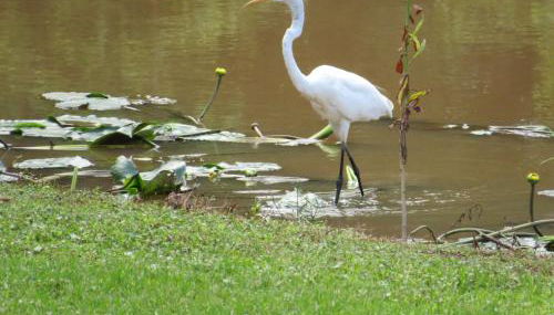 The Casablanca - Foto 3