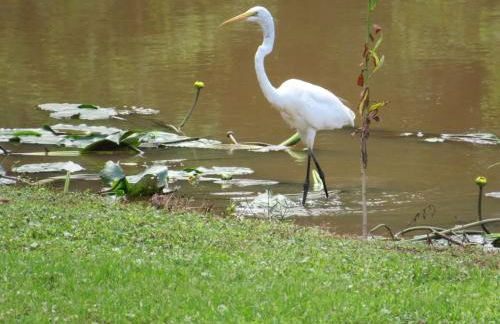 The Casablanca - Foto 3