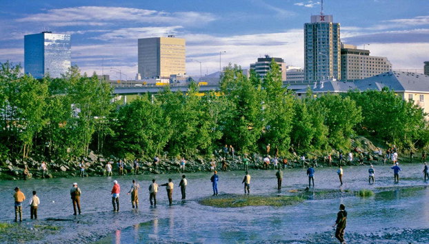 Anchorage Tour - Photo 5, People fishing in Ship Creek