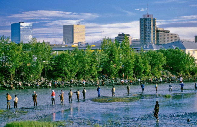 Anchorage Tour - Photo 5