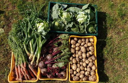 Bio-Bauernhof Mairinghof-Paris - Foto 35