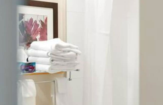 Harrison Lake Pets Welcome 3BR Suite - Photo 31