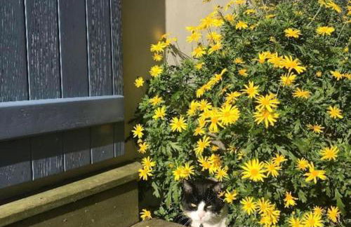 Cosy Studio Mezzanine 2 personnes Plage de Mardi Gras le Vieil - Foto 44