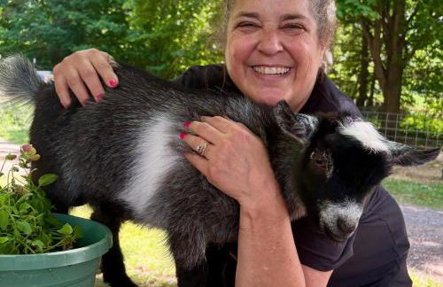 Home 7 beds, 2 baths Farmstay at Pygmy Goat Farm Byron Center Michigan - Foto 38