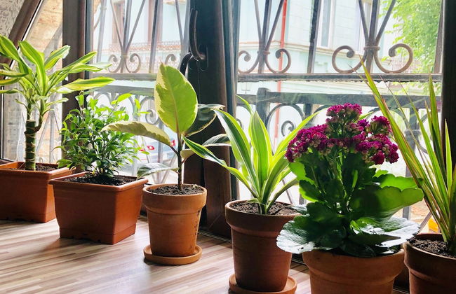 HB apartments Akhvelediani II - Foto 14