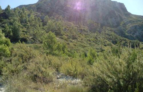 Casa Fernando y Maruja - Foto 9