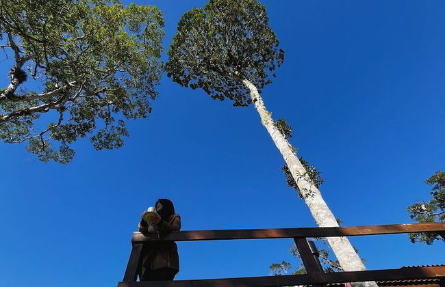 Recanto dos Pássaros na Serra em Rancho Queimado com Piscina Aquecida - Foto 35