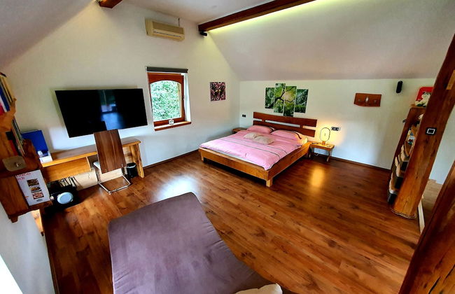 Vineyard cottage Matej - Foto 3