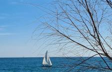 Villa Ange Azur 2 - Foto 23