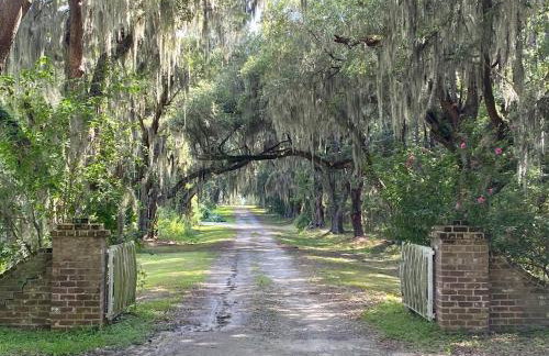 Hidden Palm - Old Town Bluffton, SC - Photo 34
