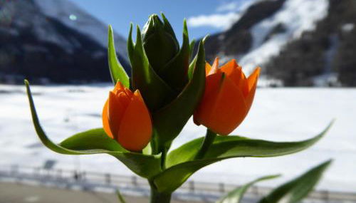 La Maison De Chouflette - Foto 1