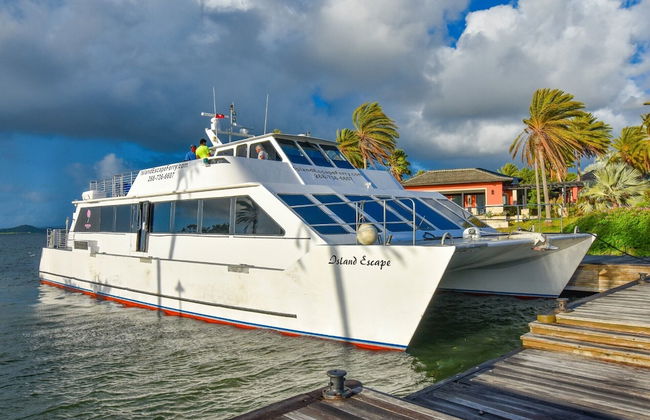 Captivating 1-bed Cottage in Codrington - Foto 5