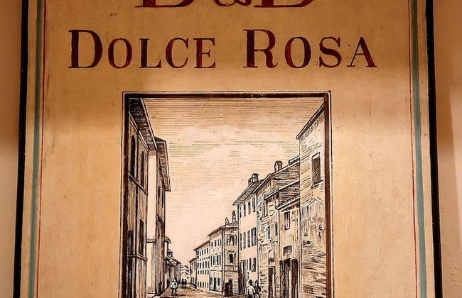 Dolce Rosa Centro Storico - Foto 49