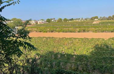 Casa Mare Salento - a due passi dal mare - Foto 59