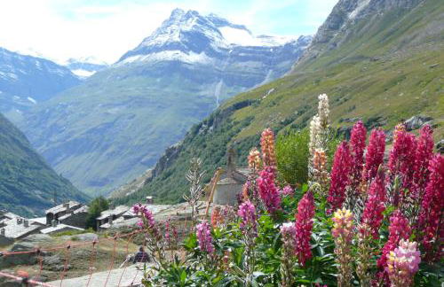 La VILLA du DORON - Foto 17