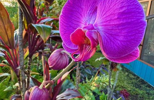 Tropical Zen Bungalow - Foto 6