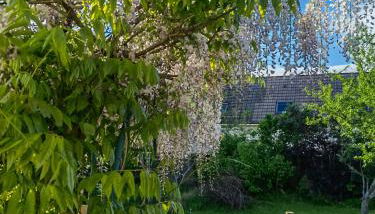 Exquisite tiny house with garden and air con - between Paris-Disneyland - 3mins from train station - Foto 2, Garden, Garden view