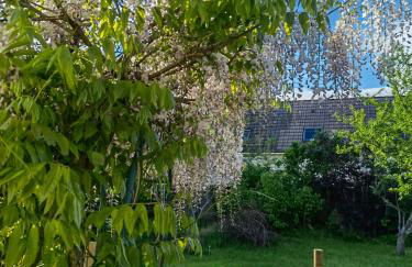 Exquisite tiny house with garden and air con - between Paris-Disneyland - 3mins from train station - Foto 2