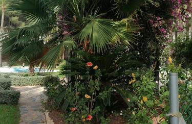 Campoamor Seaview - Foto 43