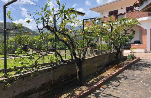 La Villa dei Limoni - Villa Panoramic with Pool - Foto 2