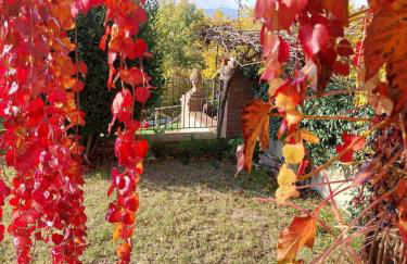 La Bella Vista - Photo 18