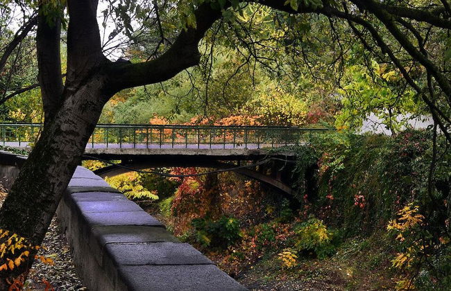 Botanical 21 Apartments - Photo 73