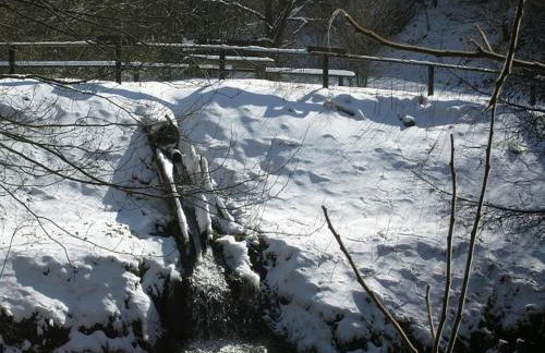 Chalet in Reinskopf With Fireplace - Foto 24