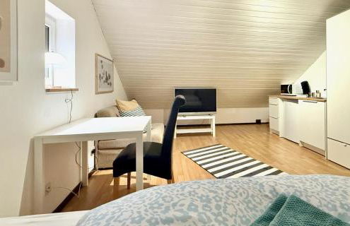 Domus Palatina FeWo & Business Apartments - Foto 4