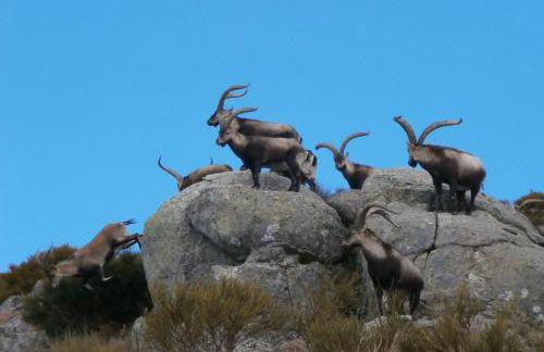 Casa Sebastiana - Foto 56