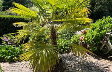 Einliegerwohnung in einer Mühle vor den Toren Frankfurts, ideal für Messegäste oder Stop Over - Foto 11