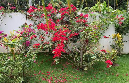 Large house with pool, barbecue and garden - Foto 38