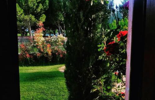 Casa rural El Pitañar - Foto 21