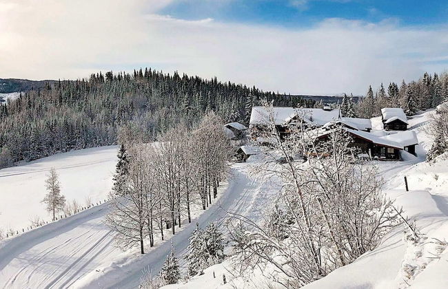 4 Person Holiday Home in Hemsedal - Foto 1