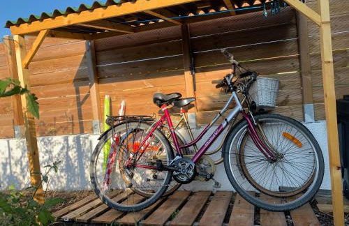 PETIT STUDIO de L'ERMITAGE - Foto 29