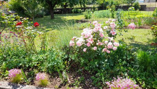 Apartman Francesca - Foto 2, Garden