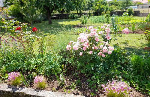 Apartman Francesca - Foto 2