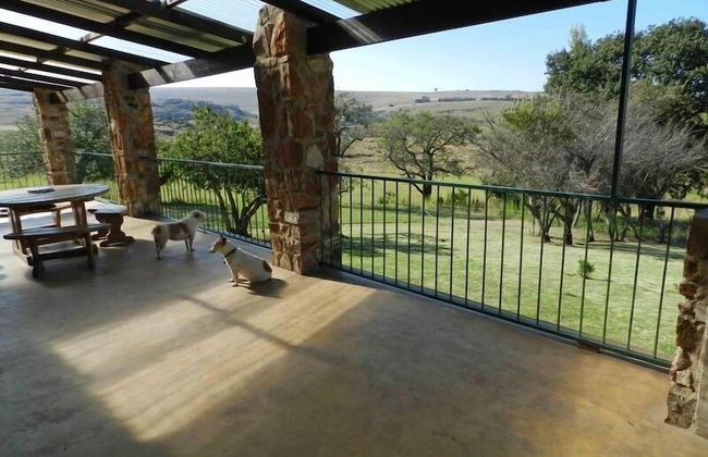 Field and Stream - Foto 30