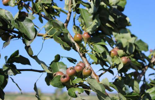 Agriturismo Masseria Cannella - Foto 31