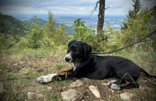 Modern apartment - Foto 20