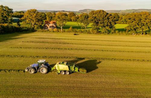 Hambledon Hill Cottage - Photo 40