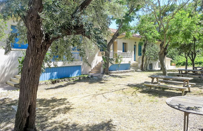 Les Vendanges - Foto 34