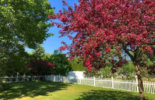Beachfront~Private Sand Beach~Close Mackinac Ferry - Foto 29