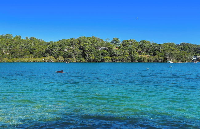 Little Palms by Burleigh Letting Co - Photo 46