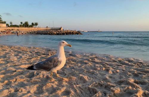 Luxueux 3 pièces de 80m2 -2 chambres, 2 salles de bain- A 1mn de la Croisette et des plages - Photo 29