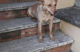 Agriturismo Podernuovo - Foto 63