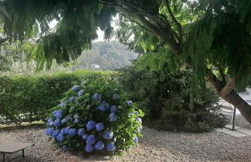 A CASA FRANCESA - Foto 61