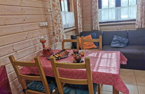 Domki Borowiackie nad brzegiem jeziora - Foto 69