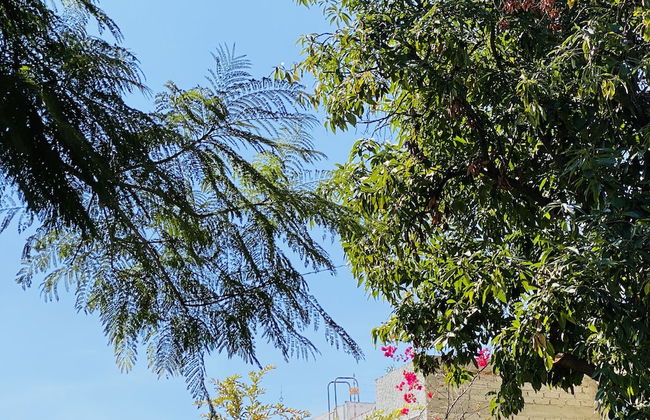 Rincòn Único Centrico - Foto 23